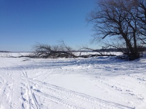 WFT Fish sticks project Pewaukee Lake